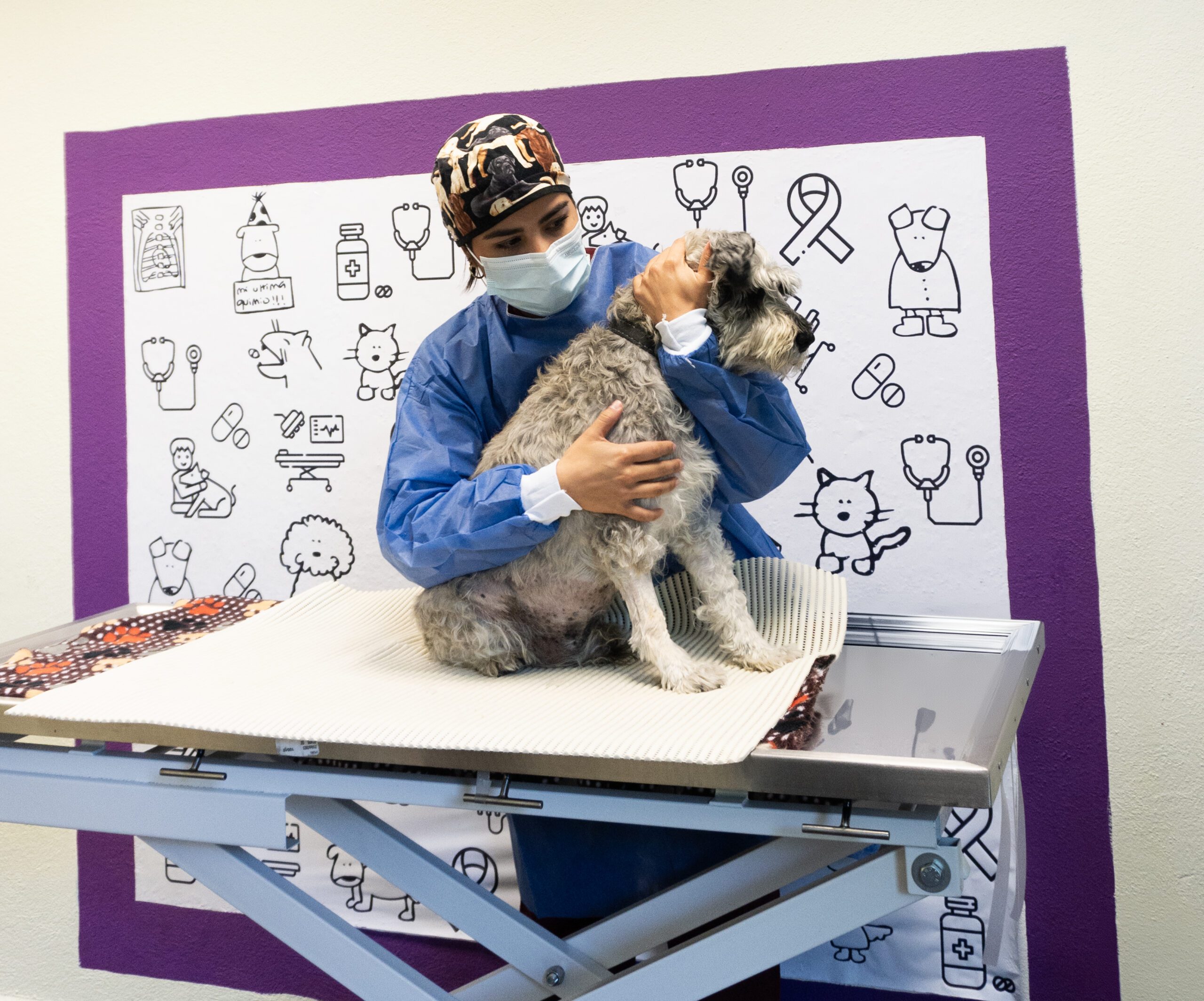 Oncologos Veterinarios en México Oncologos Veterinarios en México