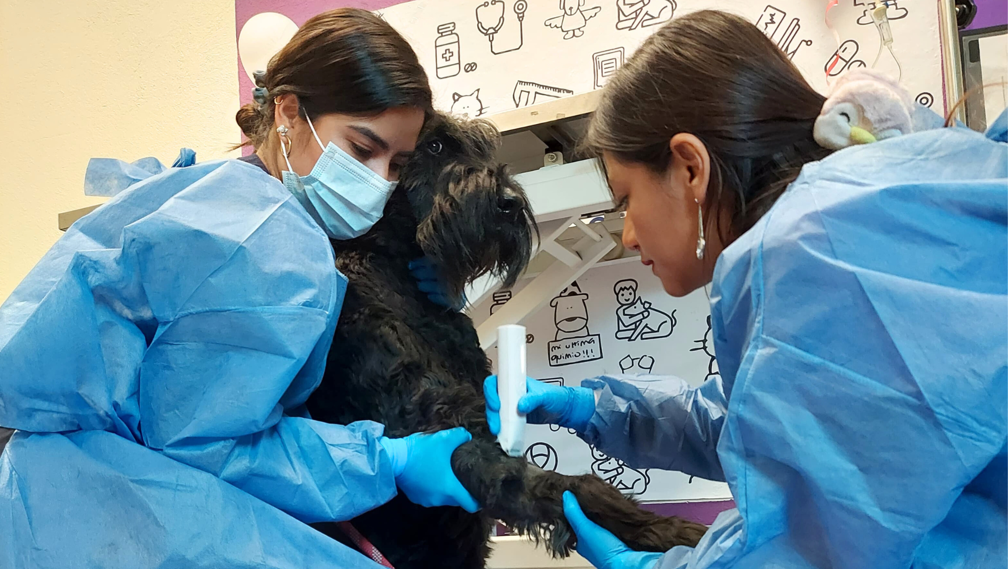 quimioterapia